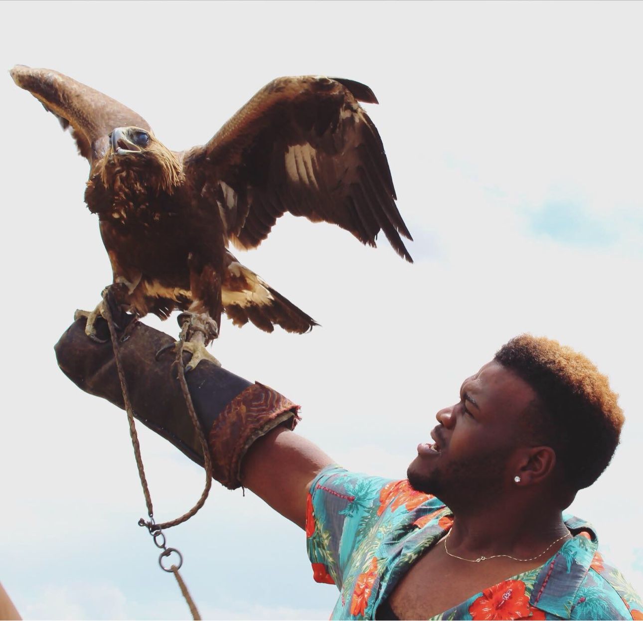 A traveler holds a golden eagle with its wings extended during a falconry encounter